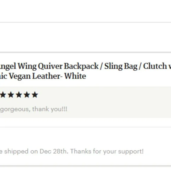 Fydelity Holographic Angel Wing Quiver Shoulder Bag - Picture 2 of 5